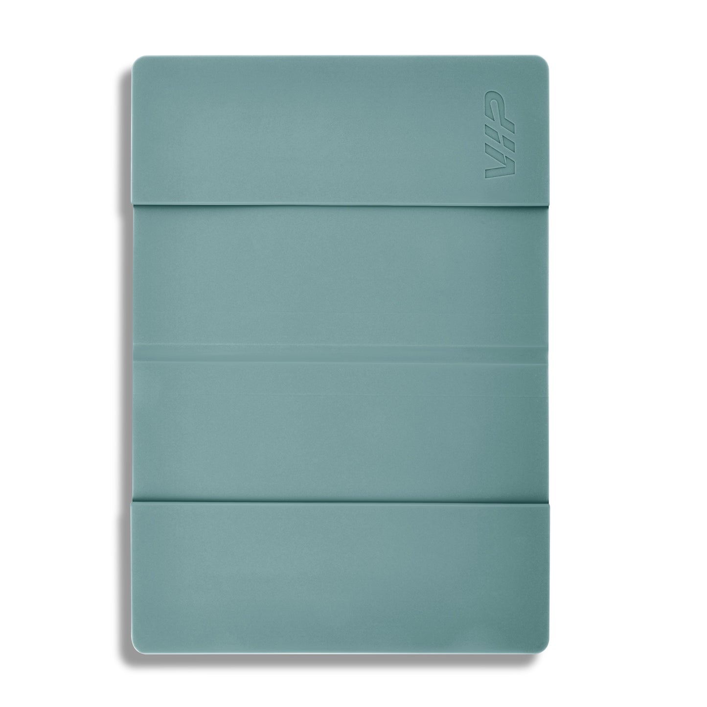 VIP SLEEK GUARD PASSPORT HOLDER