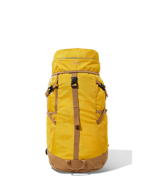 Skybags Mount Backpack
