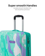 TROPQS65TBG 10.webp