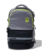LPBPBAS1GRY 1.webp