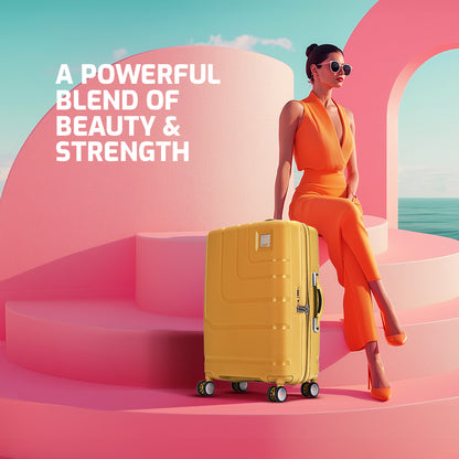VIP LEXUS LARGE