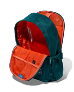 LPBPFUS2DTL 4.webp