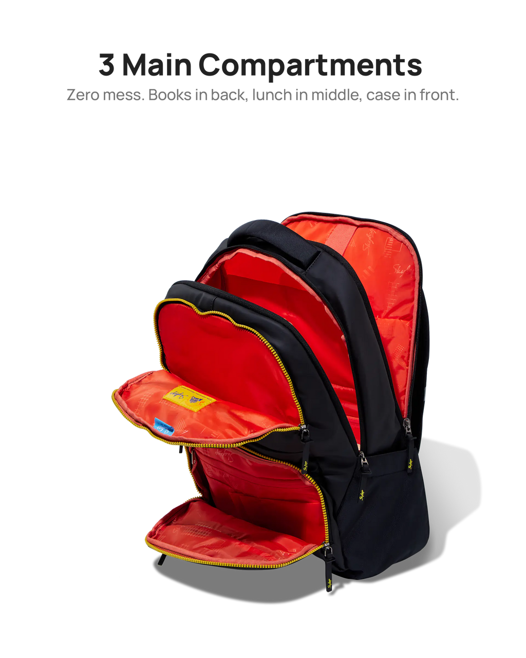 LPBPTHC1BLK 5.webp