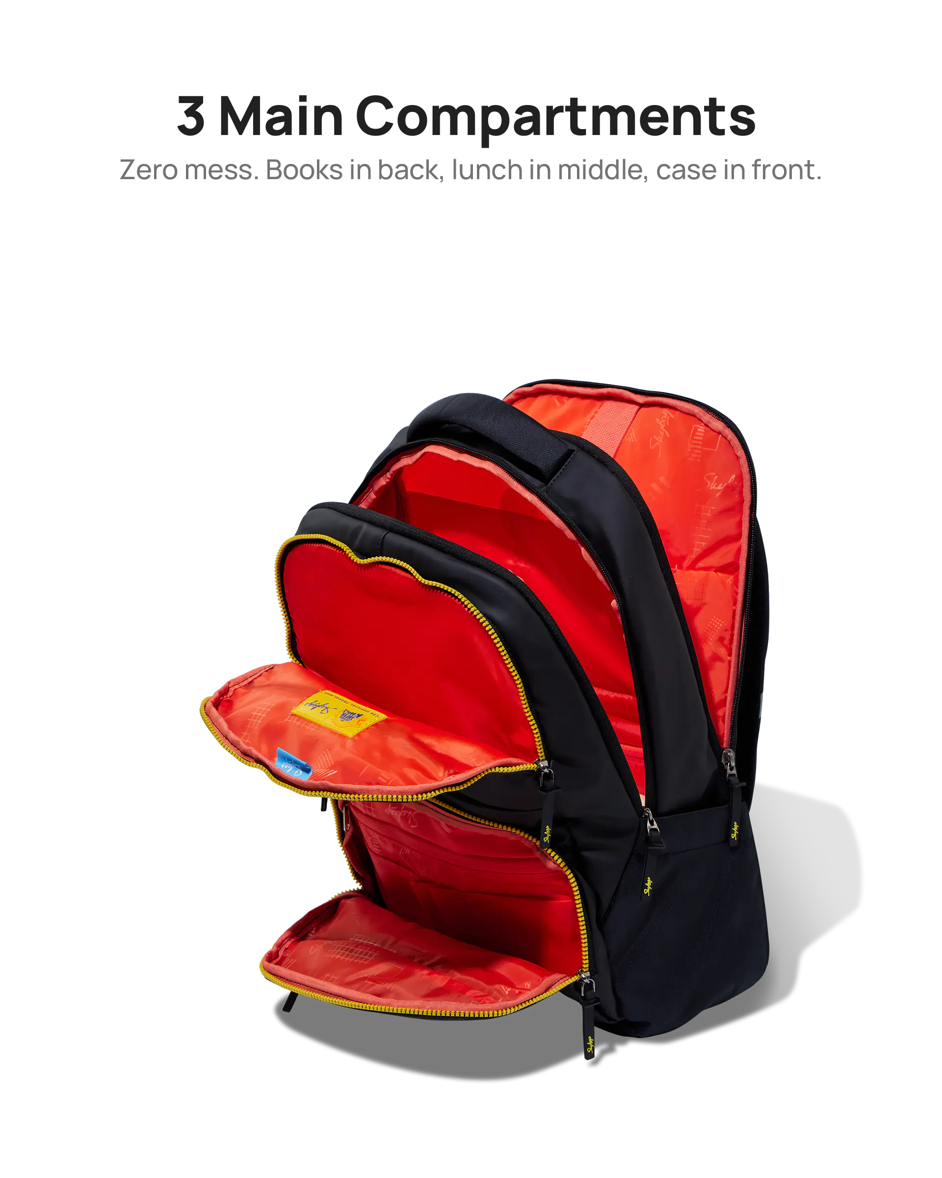 LPBPTHC1BLK 5.webp
