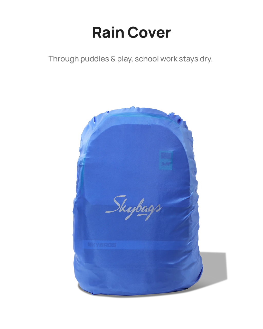 LPBPBAS1GRY 7.webp