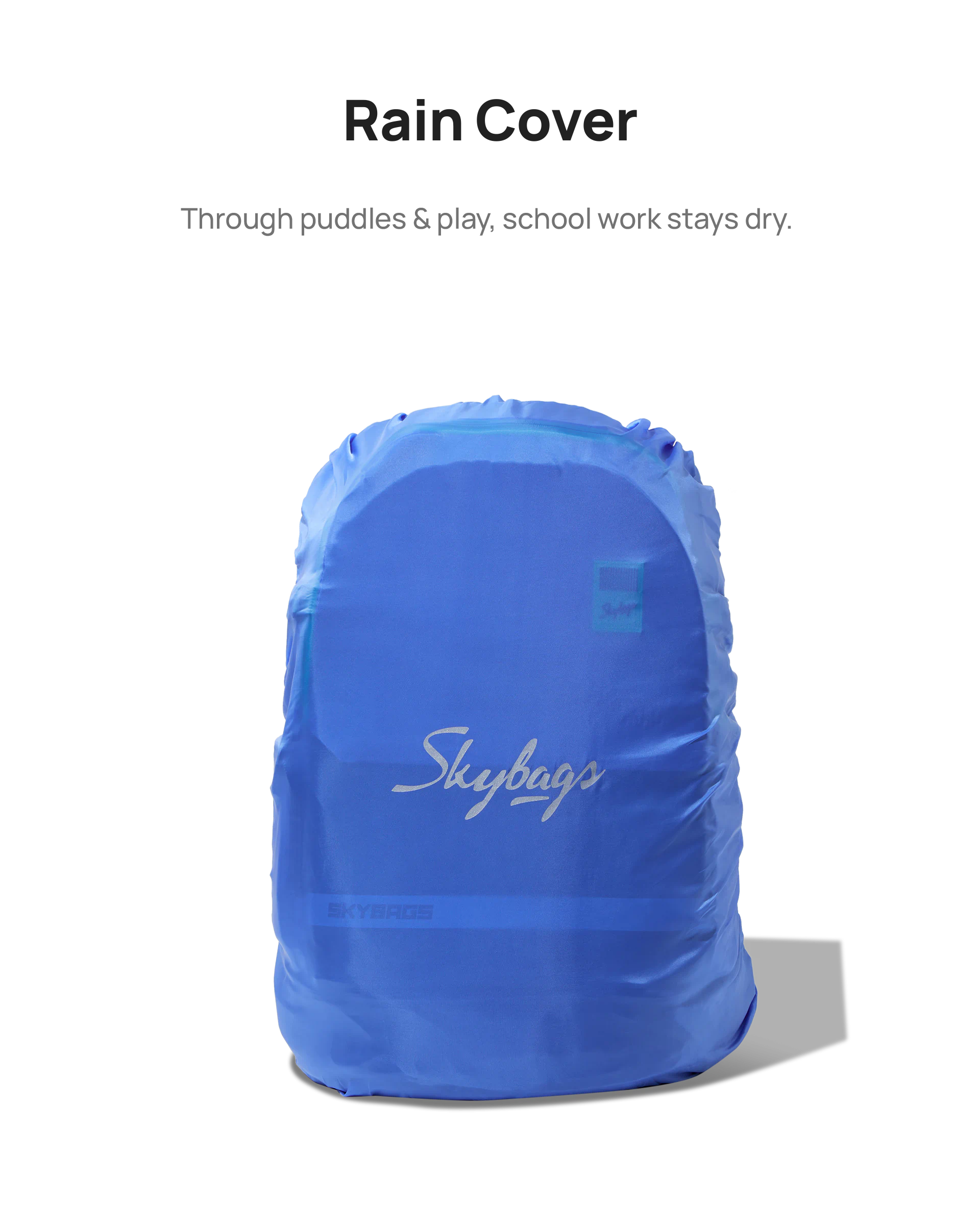LPBPBAS1GRY 7.webp
